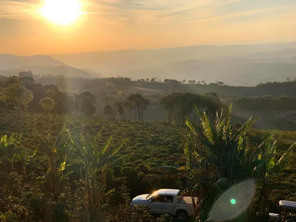 Sitio Seriema Brazil - Stockholm Roast